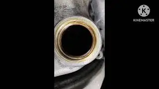 Engine oil sludge - Honda Civic