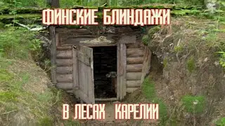 Нашёл финские блиндажи всё лежит нетронутым инструмент и много латуни.