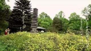 Японский Сад 2013 Релакс в позитиве
