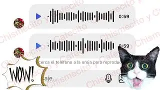 🚨AUDIOS!!!👩🏻‍🏫SE ARMÓ EL CUENTO SOLO🤪MONTSE ASEGURA QUE SOLO FUE SU AMIGO🚨NO IBAN A CASARSE🚨