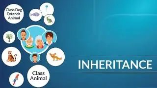 Explain Inheritance Concepts with real time examples 