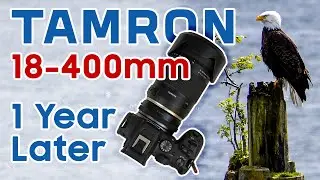 My Only Lens Now! Tamron 18-400mm One Year Review