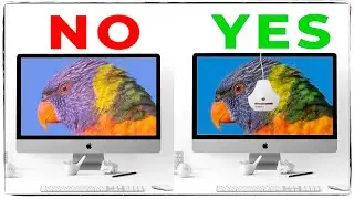 Perfect Colors: How to Calibrate Your Monitor Like a Pro!