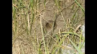 Отдых 15 06 2018 17 06 2018