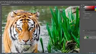 Navigation Photoshop CC