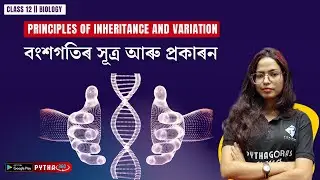 Principle of Inheritance and Variation || Class 12 || Biology