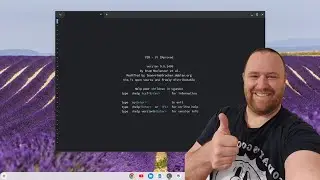 How to Install VIM on a Chromebook in 2024