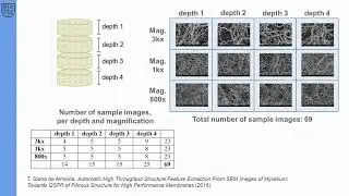 "Automated mycelium microstructural characterization with image processing artifact prediction"