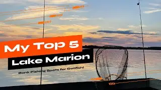 Bank Fishing For Catfish, Spots Everyone Can Access on Lake Marion in South Carolina!