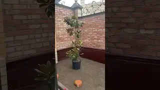 Вот смотрите основания идеальное !? Вы как и куда смотрите ? На бетоне лежит искусственный газон