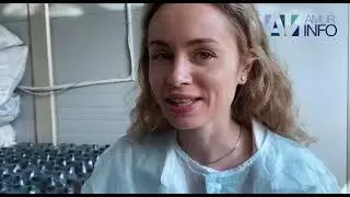 В Благовещенске готовят квас по старинному рецепту. Редакция Амур.инфо побывала на производстве