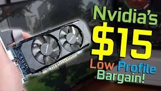 The Cheapest Low Profile Graphics Card!