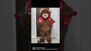 Be my #vibestine #vibetribe #bear #valentinesday #valentine #love #lovesong #cuddy #foryou