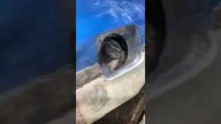 Продолжение на канале 