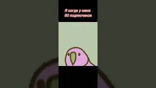 Я когда у меня 80 подписчиков 😎😂
