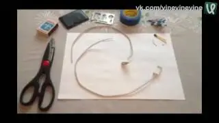 Что делать, если кот сгрыз зарядку