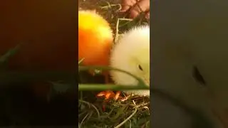 so cute