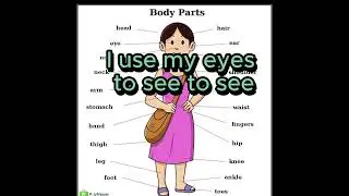I use my.. It's a body part song that is suitable to be used to teach kids about body function.