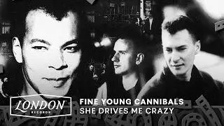 Fine Young Cannibals - She Drives Me Crazy