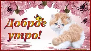 🔔💕 Доброе утро! Прекрасного дня! Великолепное голосовое  поздравление!