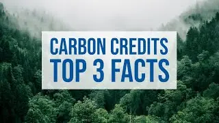 What are Carbon Credits? Top 3 Facts