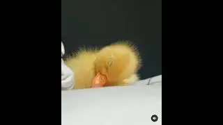 Спокойной ночи#позитив