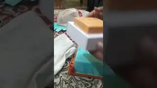 independence day  project 