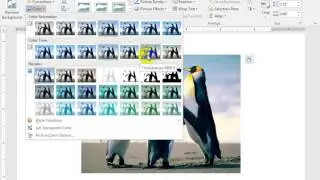 change picture color in word