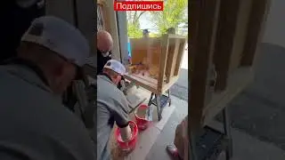 Плиточник 80го уровня. Американский Мастеркласс
