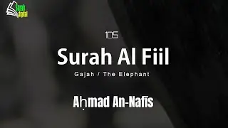 Beautiful Quran Recitation Surah Al Fiil by Ahmad Alnufais | Sub : English, Indonesian, and Latin