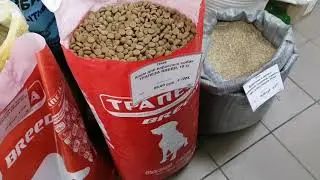 Ракушка для домашней птицы. Обзор комбикормов. Пурина. Цены на комбикорм.