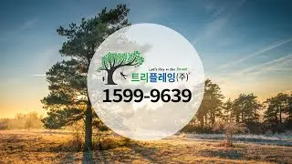트리클라이밍, 밧줄놀이, 숲생태놀이분야 글로벌 No.1 트리플레잉(주)