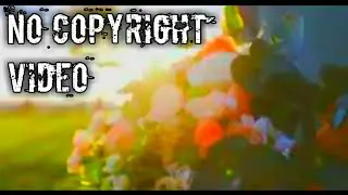 Free copyright video|| background video