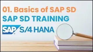 01. SAP SD in S4 HANA Basics | SAP SD S4 HANA Tutorial for Beginners