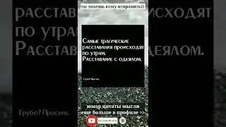 тик-ток shorts