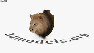 Lion Head 3D model by 3DModels.org