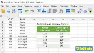 SPSS for beginners in 22 minutes - enter data, plot and t-test