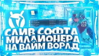 СЛИВ ПРОГРАММ МИЛЛИОНЕРА НА ВАЙМ ВОРЛД | БАТНИКИ MR MILLIONAIRE VIMEWORLD MINECRAFT СОФТ