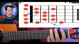 Can you play these Flamenco Guitar Techniques? #guitarlessons #onlineguitarlessons