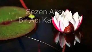 Sezen Aksu, Bir Acı Kahvenin, http://www.cicekmerkezi.com