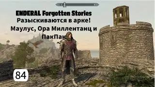 ENDERAL. Разыскиваются в арке! Маулус, Ора Миллентанц и ПакПак. Прохождение за мага. Часть 84.