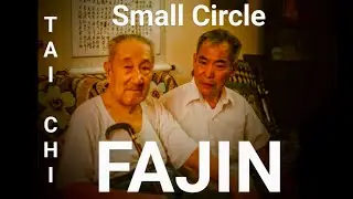Is This Real!? Wu Taichi Master Showing Secret Small Circle Fajin Issuing Power/Emitting Force! #Chi