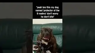 he don't bite