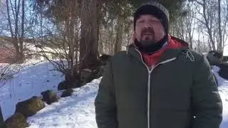 Усадьба Васильчиковых. Выбити.