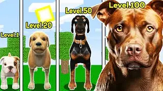 KÖPEK SEVİYELERİ 😱 - Minecraft