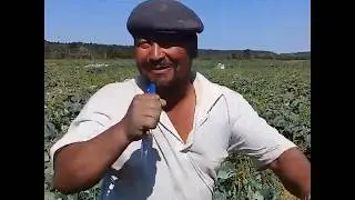 ИНДИЙСКИЙ ТАЛАНТ:1 УЗБЕК 2 ТАДЖИК 3 АВГОН