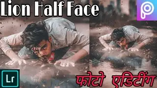 Half Lion Face Photo Editing Concept