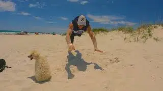 Teaser for "Pensacola Travel Guide"