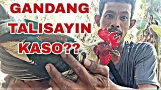 IKA LABING LIMANG HULI NI GANDA.