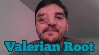 Valerian Root